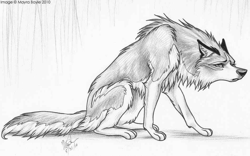 2010 canine dog female feral mayra_boyle non-anthro sketch solo