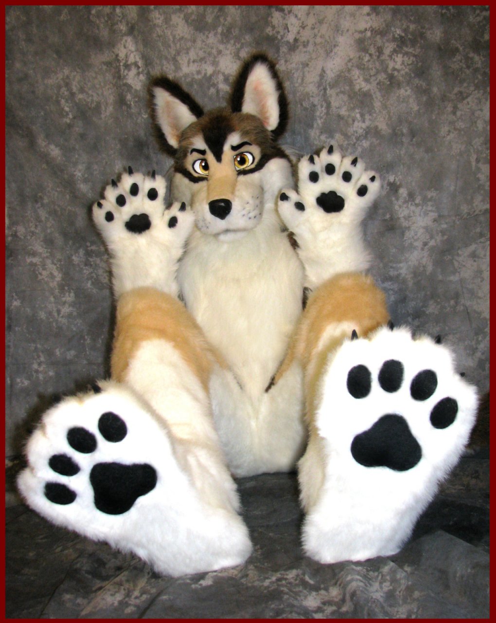 claws firestormsix fursuit male mammal paws real solo wolf yellow_eyes