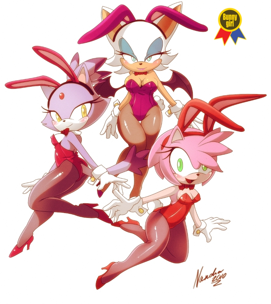 amy_rose animal_ears bat blaze_the_cat blush bow_tie breasts bunny_outfit bunnysuit cat clothed clothing feline female green_eyes hair hedgehog high_heels legwear looking_at_viewer mammal nancher open_mouth plain_background pumps rabbit_ears rouge_the_bat sega short_hair skimpy sonic_(series) stockings tail white_background wide_hips wings yellow_eyes