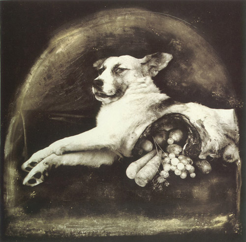 canine dog edit feral food gore guro joel_peter_witkin looking_at_viewer male mammal monochrome nightmare_fuel paws photo photo_manipulation real sepia sheath vintage