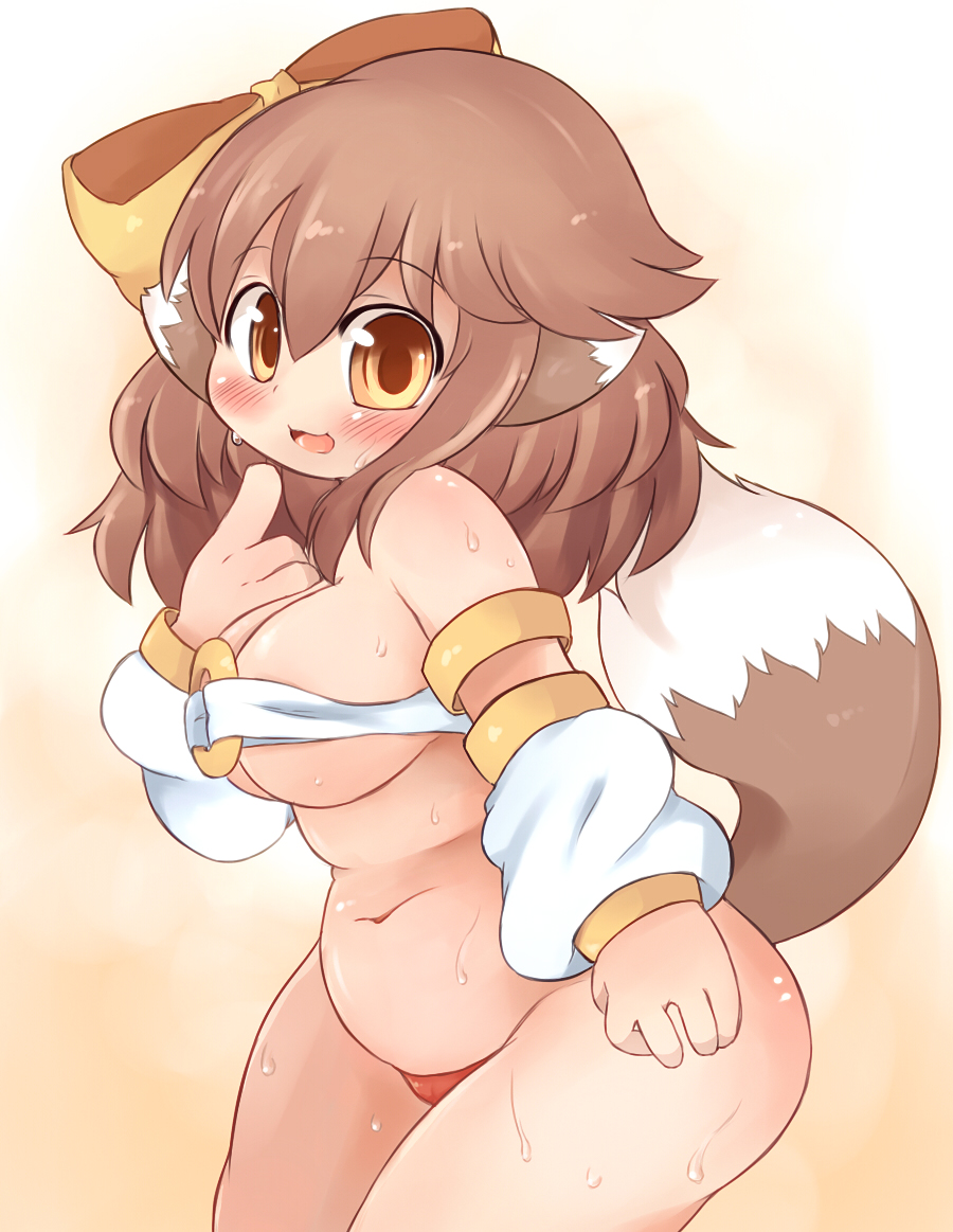 big_breasts blush breasts brown_eyes brown_hair chubby female hair looking_at_viewer mcdonnell-douglas overweight plain_background solo sweat tail white_background wolf_ears wolfgirl