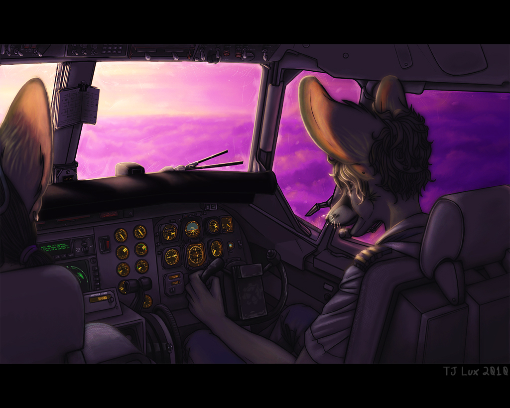 2010 airplane aviation canine clouds cockpit fox gearotter pilots sky sun sunrise