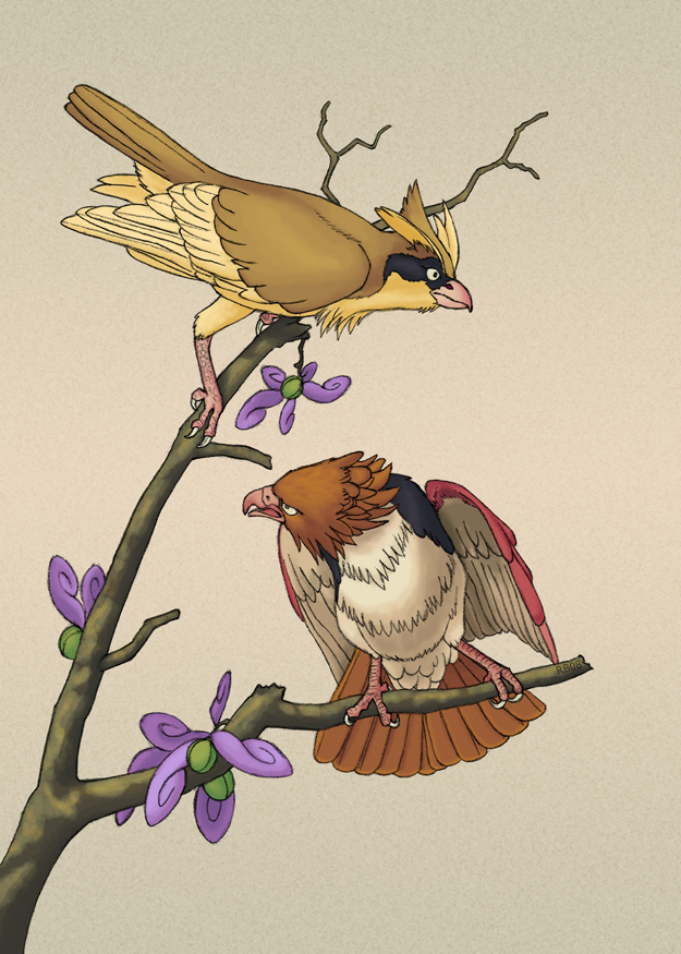 avian bird branch couple flower pidgey pok&eacute;mon realistic spearow unknown_artist wings