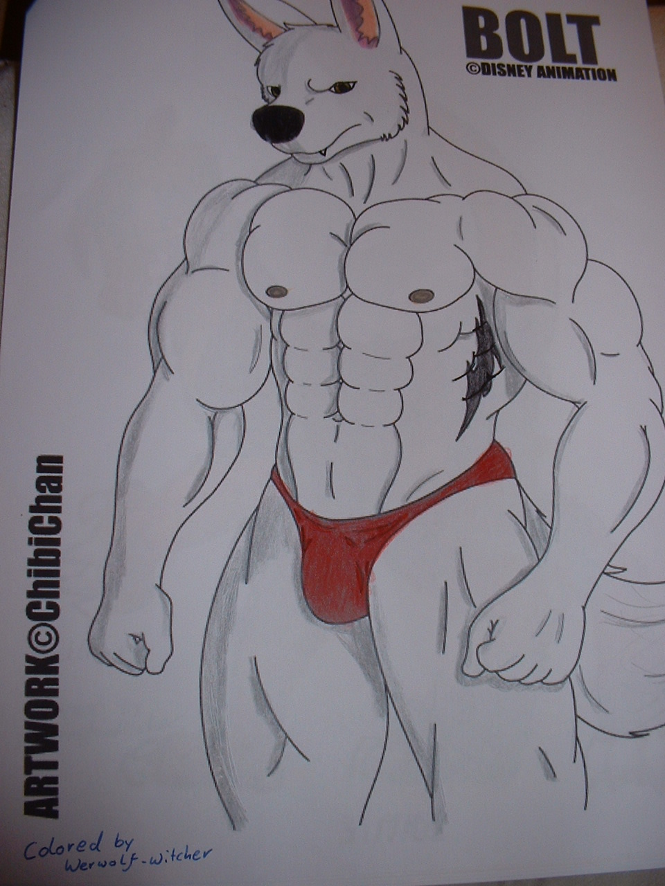 bolt canine canis chibichan closed_hands dog line_art male muscles photo solo standing underwear werwolf-witcher