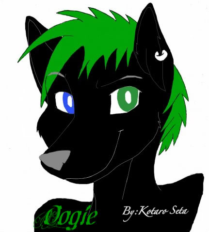 black canine fox green_hair heterochromia kotaro_seta looking_at_viewer oogie solo
