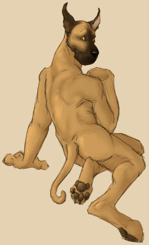 back brown canine dog great_dane looking_at_viewer male markings pawpads sitting solo tail unknown_artist yellow_eyes