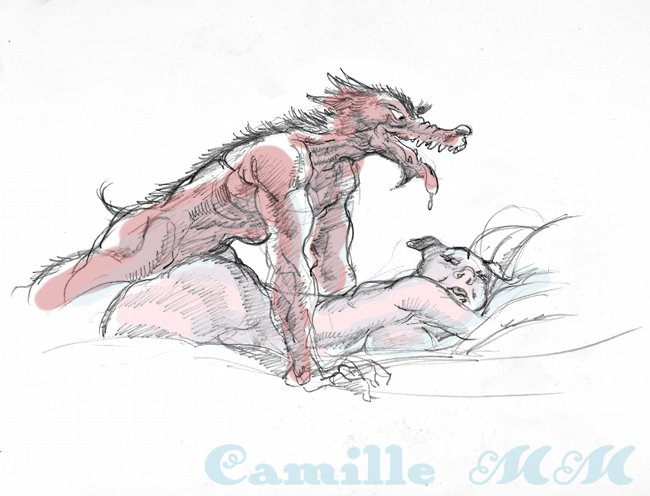 2008 bed camille_mm canine female male pig porcine wolf