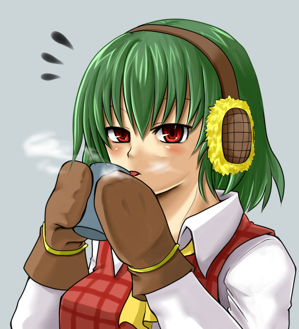 ascot cup earmuffs green_hair kazami_yuuka mittens mug plaid plaid_vest red_eyes short_hair solo touhou tyazuke vest