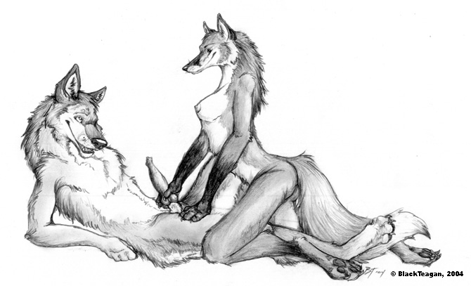 2004 blackteagan breasts canine canine_penis couple female fox handjob male masturbation nude penis straight wolf