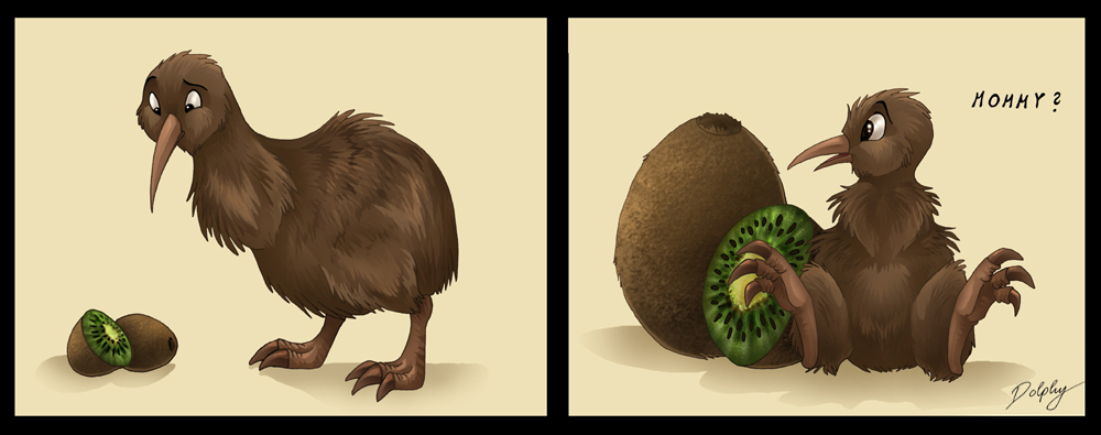 avian baby bird cute dolphy egg female kiwi mother