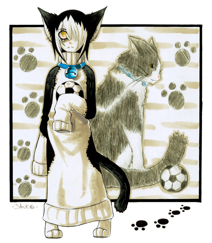 bell brown_eyes cat collar cute feline football jumper paws soccer_ball sweater yellow_eyes