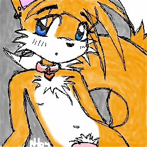 2004 anthro canine chest_tuft collar fox male miles_prower penis pubic_tuft solo sonic_(series)