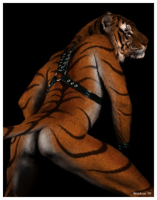 feline male mammal nude photo_manipulation photomorph real solo tiger wookiee_(artist)