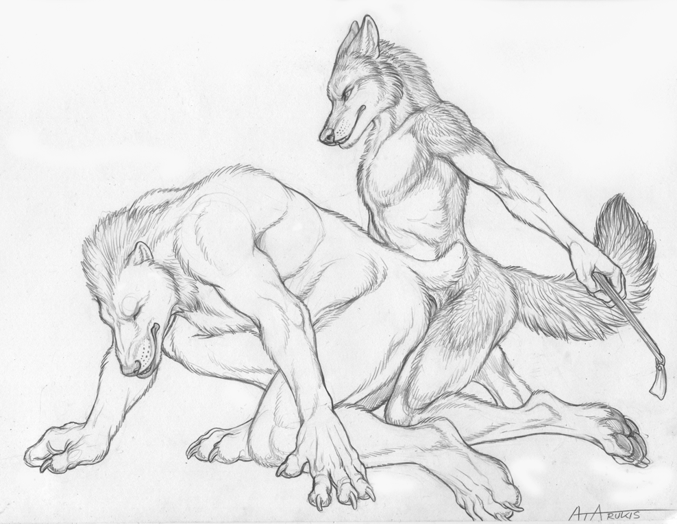 all_fours anal anal_penetration anthro black_and_white canine crop duo eyes_closed forced from_behind gay male mammal monochrome mustelid nude penetration plain_background rape riding_crop rukis sex size_difference sketch small_dom_big_sub white_background wolf wolverine