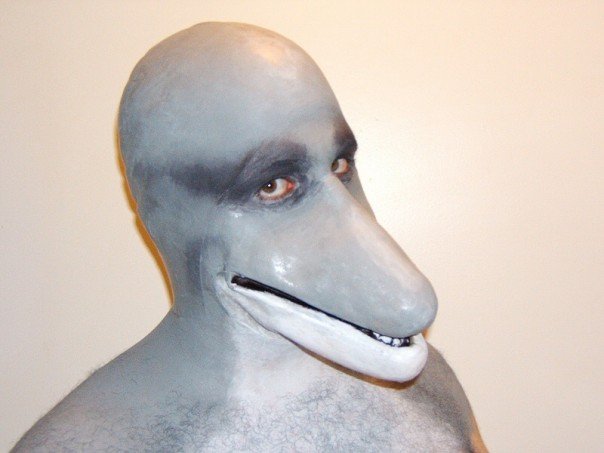 cetacean dolphin fursuit male marine nightmare_fuel oh_god_it_burns photo real solo what what_has_science_done where_is_your_god_now