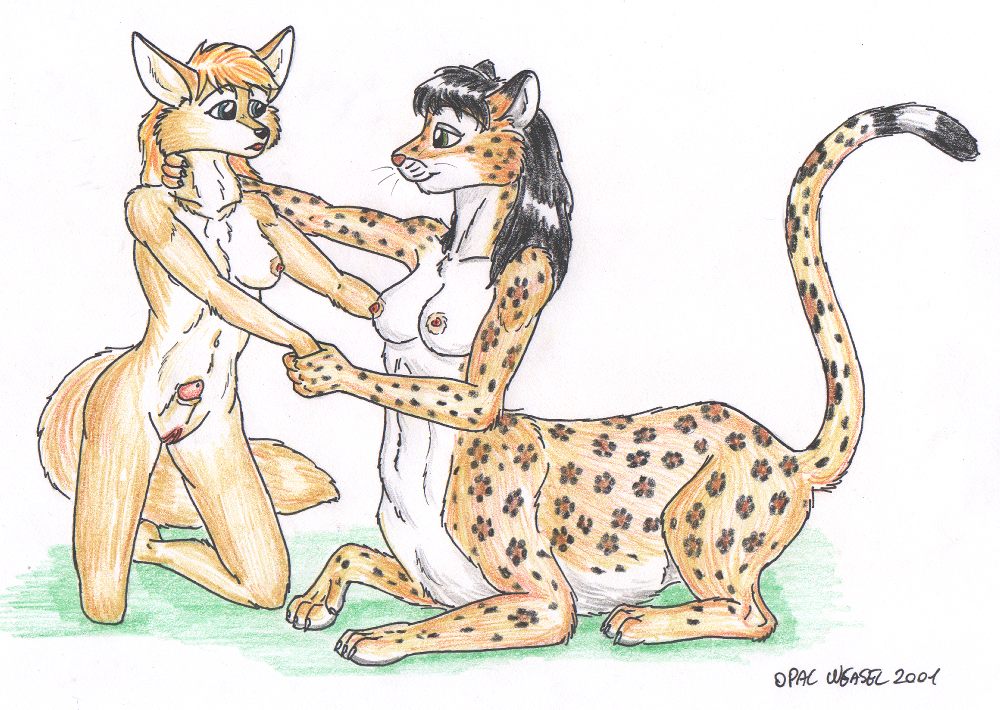 black_hair blonde_hair breasts canine chakat couple fennec forestwalker fox hair hellenic herm holding intersex kneeling leanna long_hair looking_at_each_other nipples nude opal_weasel orange peeking penis pussy sheath spots tail taur whiskers white yellow