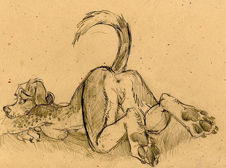 allison_reed butt canine canine_pussy collar dog female foxhound hound java nude presenting sketch solo