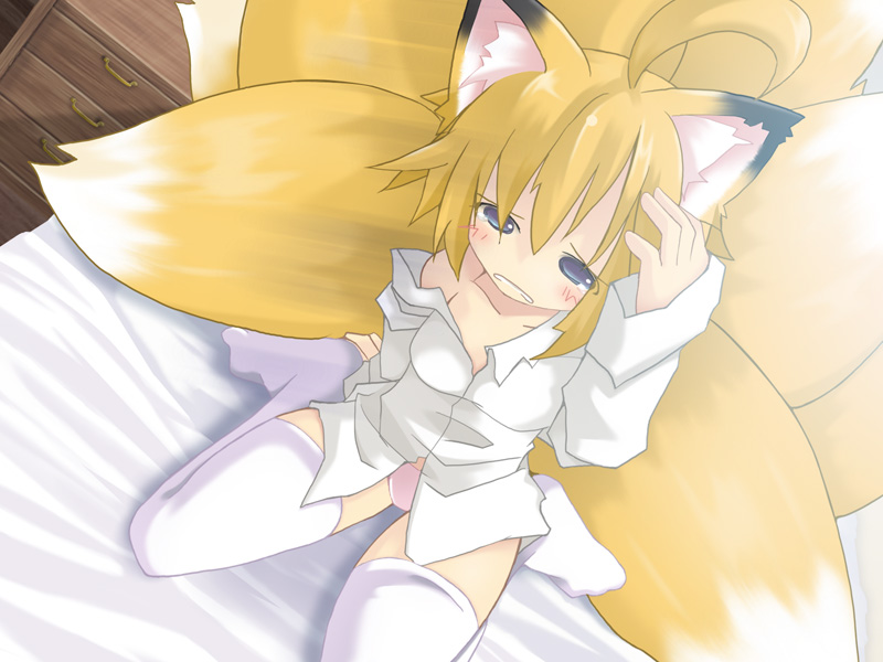 animal_ears bed blondehair blue_eyes blush canine female fox foxgirl hair hentai kemonomimi kitsune kitsunemimi kneeling kyubimimi multiple_tails panties short_hair solo tail thigh_highs underwear unknown_artist