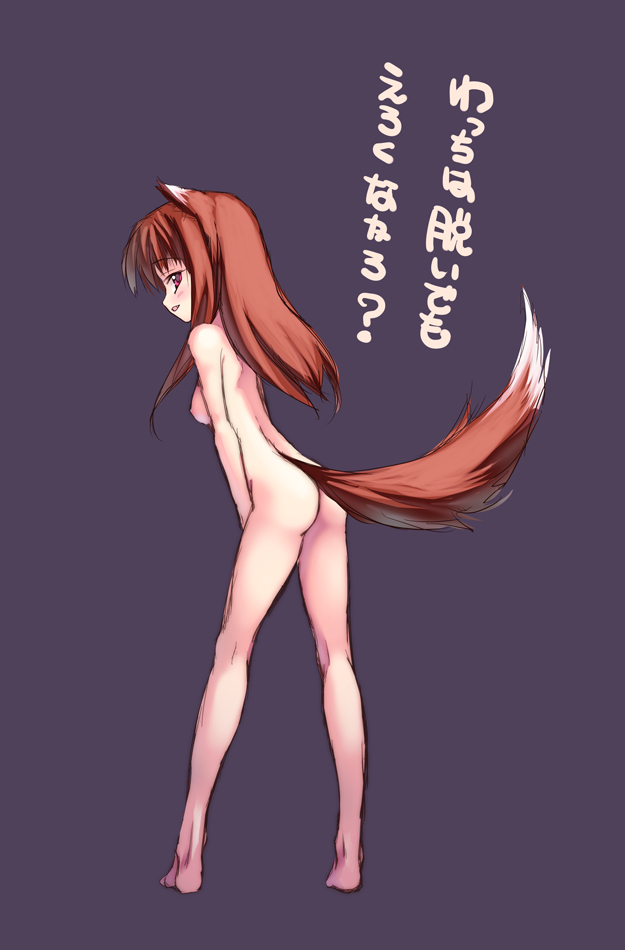 animal_ears breasts brown_hair canine female hair hentai horo long_brown_hair long_hair nude ookami_to_koushinryou ookamimimi red_eyes soft solo standing tail translation_request unknown_artist wolf wolfgirl