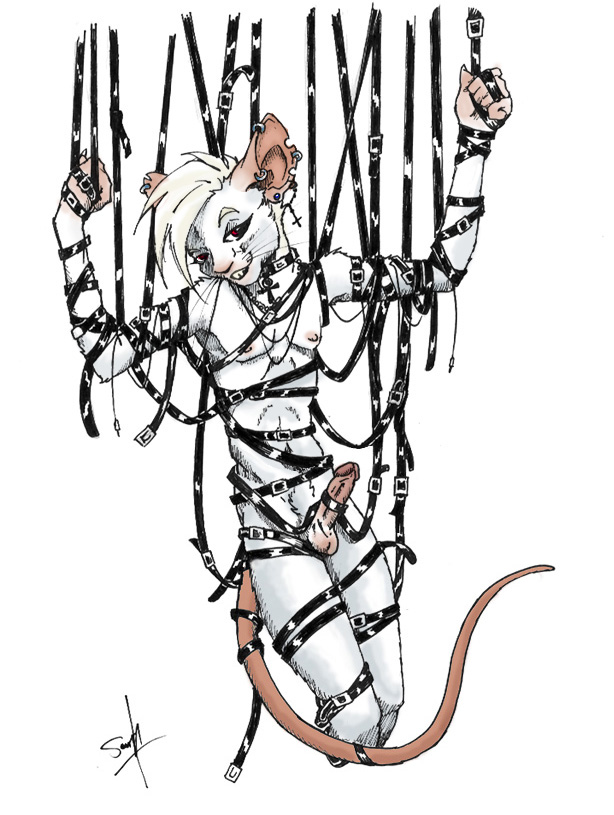 bdsm bondage collar goth leather male nude piercing rat rodent seraph solo suspension twain