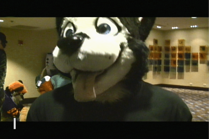 buddy canine craftyandy cute favorite fursuit gif hands mammal photo real up