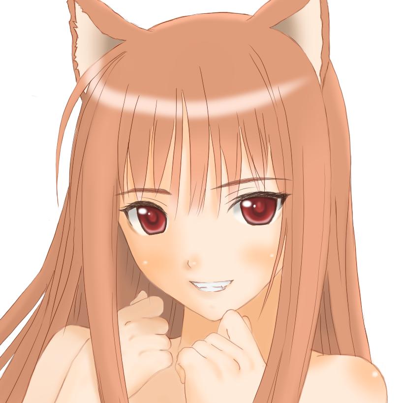 animal_ears brown_hair canine female hair hentai horo long_brown_hair long_hair looking_at_viewer ookami_to_koushinryou ookamimimi red_eyes solo unknown_artist wolf wolfgirl