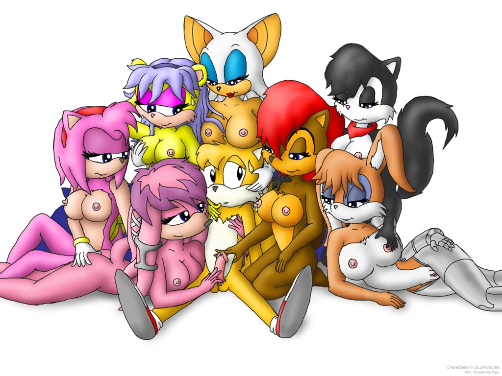 amy_rose breasts bunnie_rabbot butt canine cat echidna feline female fox hershey_cat julie-su kitsune knownvortex lagomorph male miles_prower mina_mongoose multiple_tails penis pussy rabbit rouge_the_bat sally_acorn sonic_(series) stroking tail