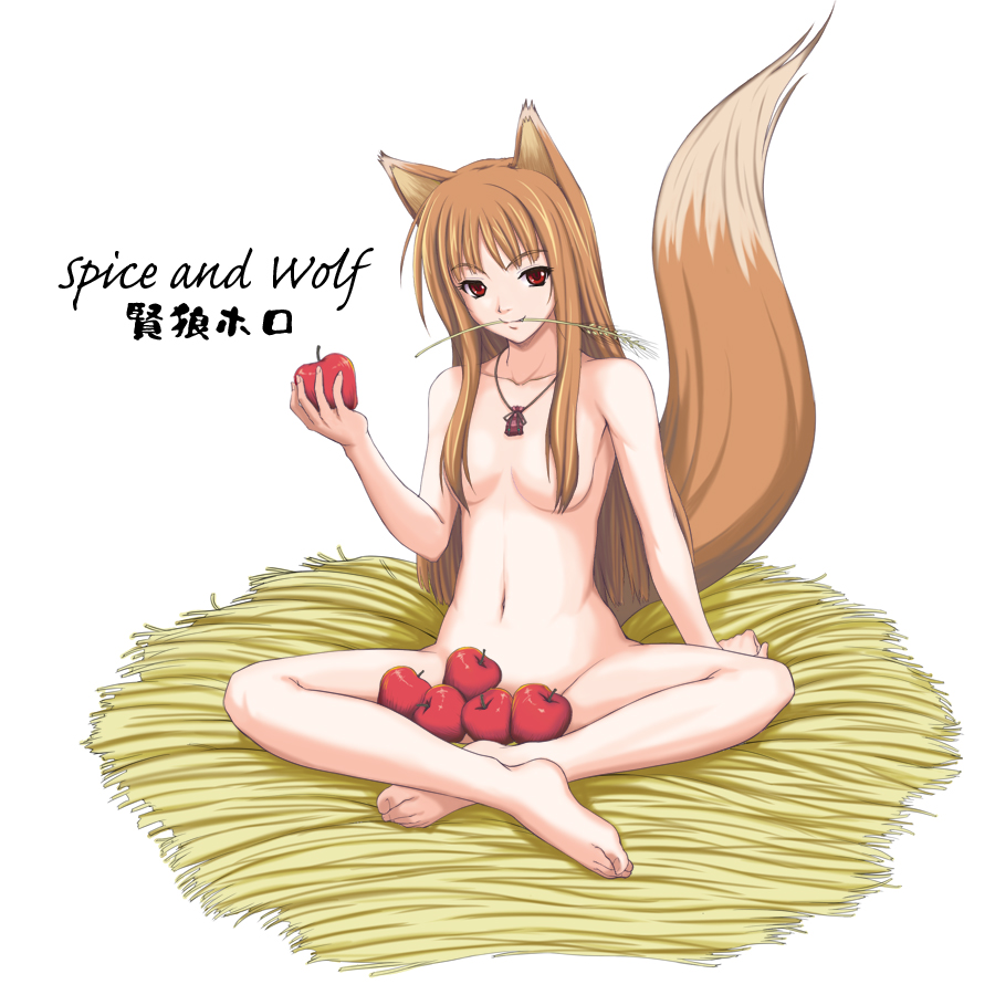 animal_ears barefoot breasts brown_hair canine female food hair hentai horo long_brown_hair long_hair looking_at_viewer necklace nude ookami_to_koushinryou ookamimimi red_eyes sitting solo tail unknown_artist wolf wolfgirl