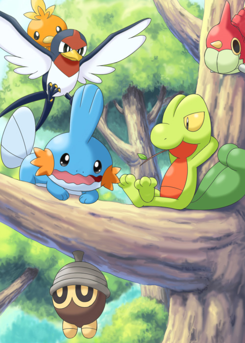 mudkip pokemoa pokemon seedot soara taillow torchic treecko wurmple