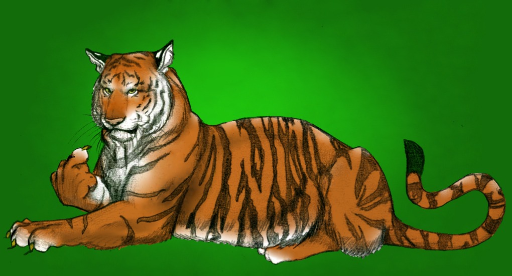 becky_short claws feline feral orange solo stripes tail the_finger tiger