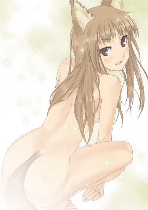 animal_ears breasts brown_hair canine crouching female hair hentai horo long_brown_hair long_hair looking_at_viewer looking_over_shoulder ookami_to_koushinryou ookamimimi red_eyes soft solo steam tail unknown_artist wolf wolfgirl