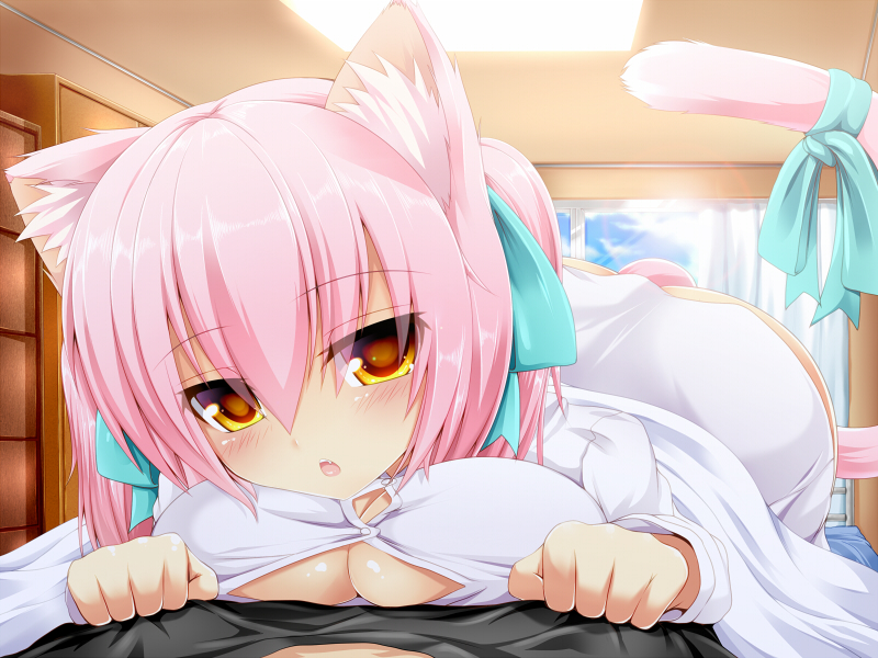 animal_ears aqua_ribbon ass blush breasts cat_ears cat_tail cleavage commentary_request dress_shirt fang hair_ribbon large_breasts open_mouth orange_eyes original pastel_colors pink_hair pov ribbon shia_flatpaddy shirt shirt_grab solo_focus syroh tail tail_ribbon