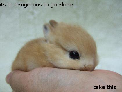 adorable beady_eyes cute ears hand lagomorph omg rabbit small solo tagme take_this