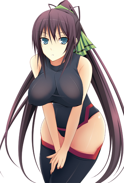 bad_id bad_pixiv_id black_legwear blush breasts green_eyes hair_ribbon infinite_stratos large_breasts long_hair ponytail ribbon shinonono_houki solo stanaka thighhighs