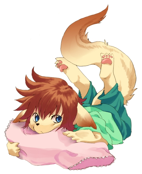canine cub fox gou legs_up lying male mammal pawpads paws pillow plain_background solo white_background