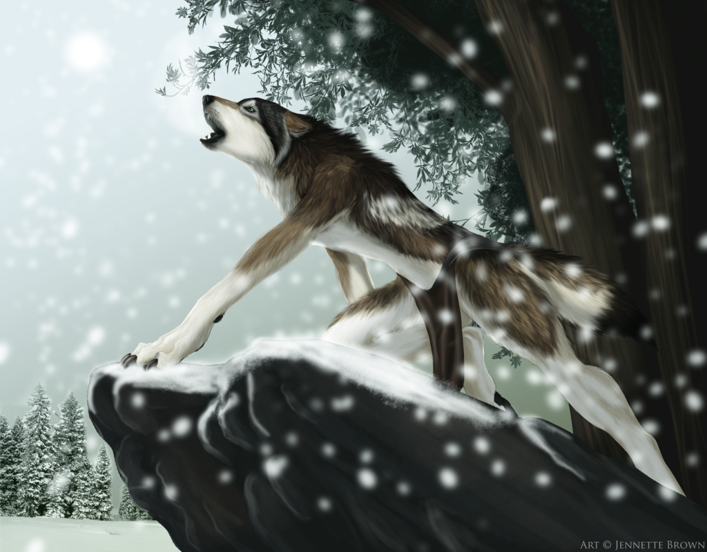 anthro brown canine canines canis forest howl jaw jenette loincloth lupus snow sugarpoultry teeth tree underwear wolf