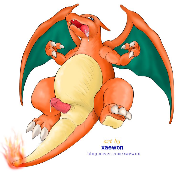 charizard dick furry lying penis pokemon xaewon