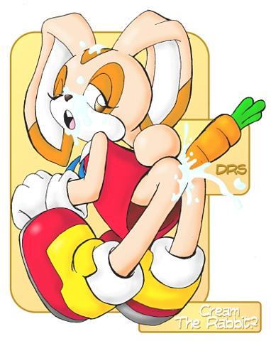 cream_the_rabbit drs sonic_team tagme