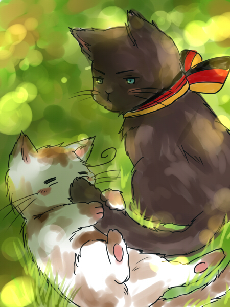 animal animalization axis_powers_hetalia bad_id bad_pixiv_id black_cat blue_eyes blush blush_stickers cat cat_focus closed_eyes flag_print german_flag germany_(hetalia) germany_(nekotalia) grass lying male_focus no_humans northern_italy_(hetalia) northern_italy_(nekotalia) on_back print_ribbon ribbon sitting tail whiskers