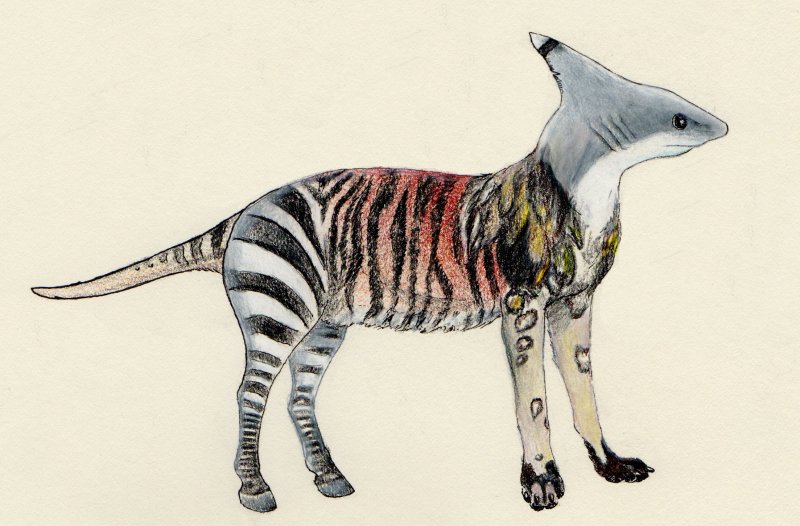 2011 amagire equine feline feral hybrid leopard marine non-anthro shark thylacine what_has_science_done zebra