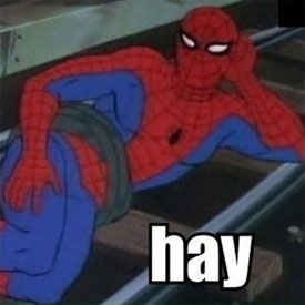 gay_improv hay humour jpeg new_york peter_parker pose sixty's spiderman