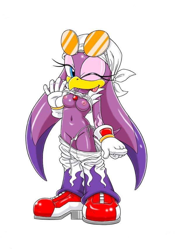 anthro avian bandanna beak bird blue_eyes breasts clothing eyewear female flames furry-bomb furry_bomb gloves hedgehog mammal necklace nipples one_eye_closed pants pants_down plain_background pointing purple_skin pussy sega shiny shirt shirt_lift side-tie_panties sneakers solo sonic_(series) sonic_riders sonic_the_hedgehog sunglasses swallow_(bird) tongue tongue_out undressing unknown_artist wave_the_swallow white_background wink