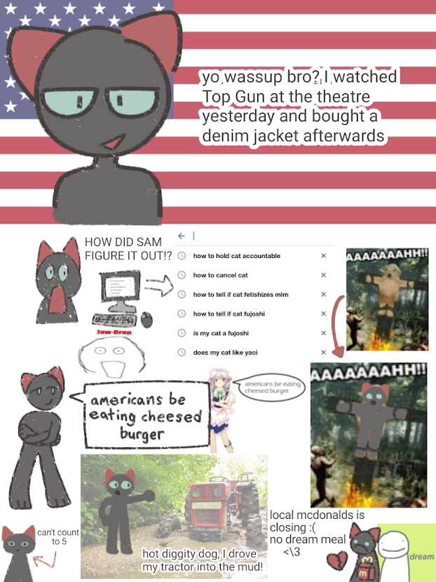 2023 anthro black_body black_fur collage digital_media_(artwork) domestic_cat english_text felid feline felis fur looking_at_viewer male mammal meme nude open_mouth ririinu smile solo stars_and_stripes stereotype text united_states_of_america