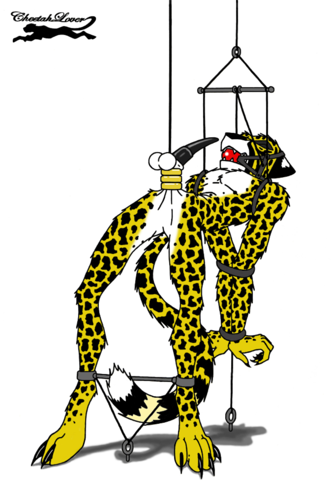 ball_gag ball_stretching balls bdsm bond bondage bound cbt cheetah cheetahlover claws cock_and_ball_torture demitri erection eyes_closed feline fur gag male mammal nude pain penis plain_background solo torture white_background