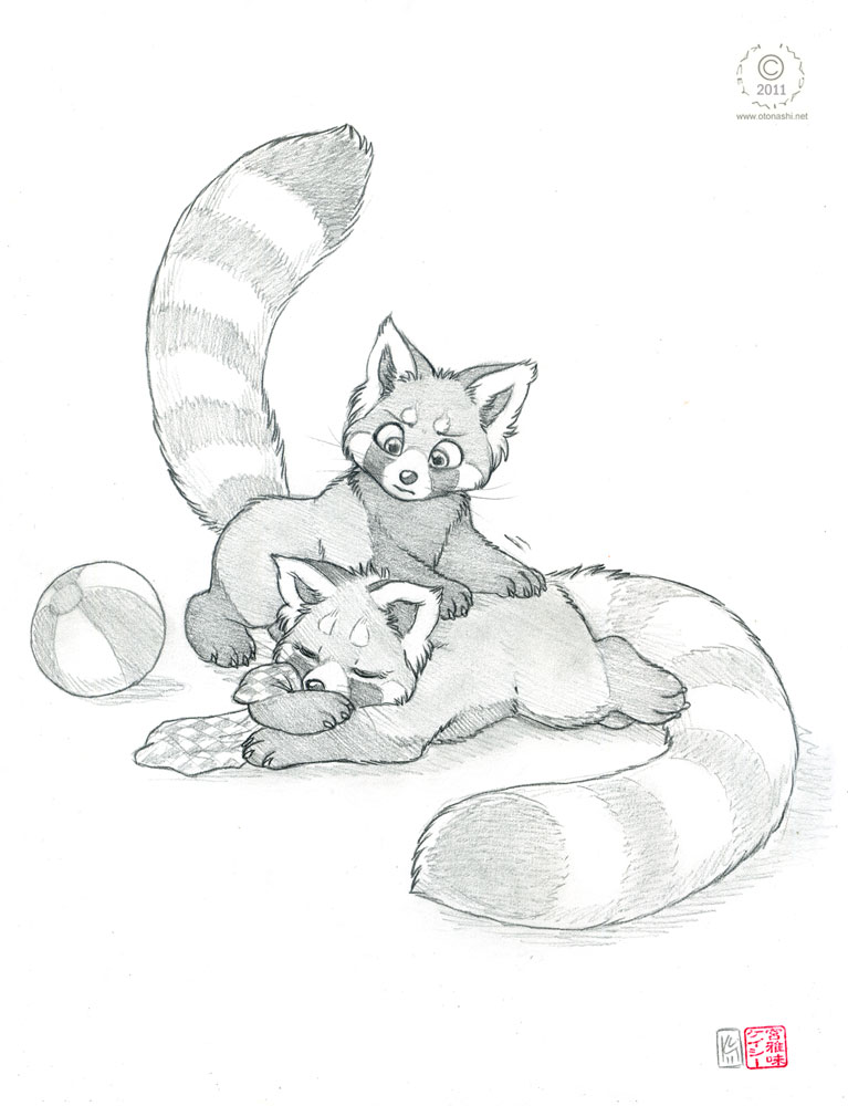 ambiguous_gender beach_ball cute feral kacey lying mammal on_front red_panda sketch sleeping