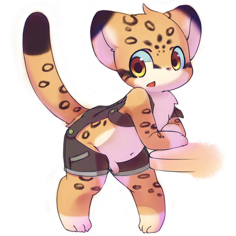 cheetah cub cute feline kemono male mammal mumu penis solo young