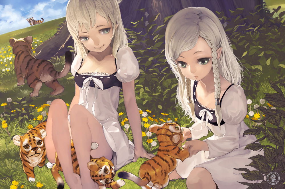 animal arm_support arms_at_sides bad_anatomy bangs bare_arms bare_legs barefoot blonde_hair blue_sky braid breasts cleavage closed_mouth cloud collarbone cub dandelion day dress elf eyelashes flower foot_hold grass green_eyes juliet_sleeves knees_up lace_trim leaf long_hair long_sleeves meadow medium_breasts medium_hair multiple_girls nature on_ground original outdoors outstretched_hand plant plantar_flexion pointy_ears puffy_short_sleeves puffy_sleeves ribbed_dress ribbon short_dress short_sleeves side_braid sideways_glance silver_hair sitting sky small_breasts smile swept_bangs tiger toro_(konirio) tree twin_braids under_tree white_flower white_hair white_ribbon yellow_flower