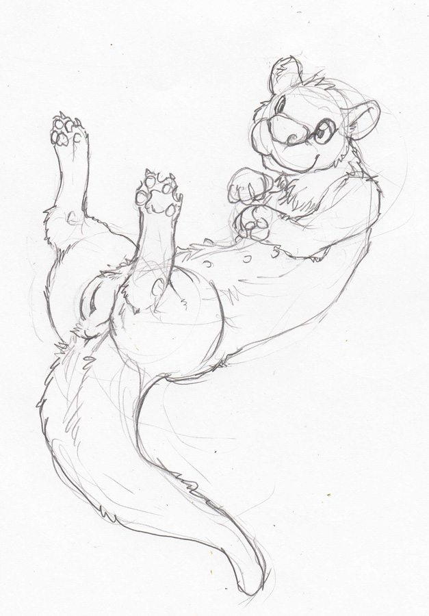 anus black_and_white female feral lying mammal monochrome mustelid nullenigma on_back otter pencils pussy sketch solo