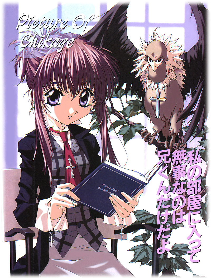 bird book chikage_(sister_princess) purple_hair sister_princess solo tenhiro_naoto vulture