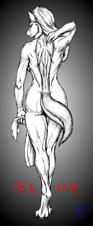 butt canine cirrel claws digitigrade female golden_jackal hair jackal long_hair looking_at_viewer looking_back mammal nohni_wabanda nude side_boob solo standing tail towel